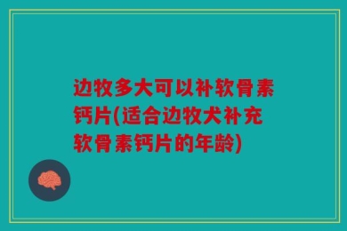 边牧多大可以补软骨素钙片(适合边牧犬补充软骨素钙片的年龄)