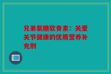 兄弟氨糖软骨素：关爱关节健康的优质营养补充剂