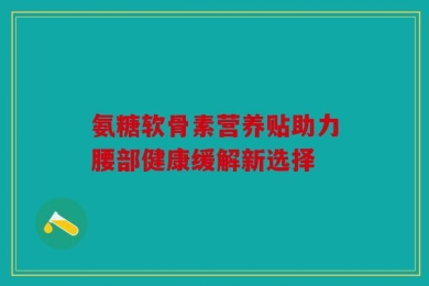 氨糖软骨素营养贴助力腰部健康缓解新选择