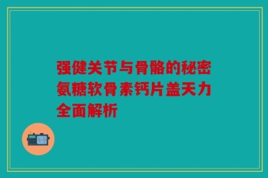强健关节与骨骼的秘密氨糖软骨素钙片盖天力全面解析