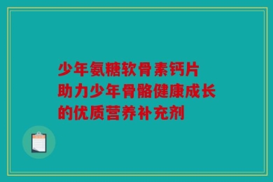 少年氨糖软骨素钙片 助力少年骨骼健康成长的优质营养补充剂