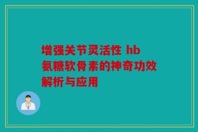 增强关节灵活性 hb氨糖软骨素的神奇功效解析与应用
