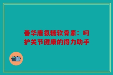 善华唐氨糖软骨素：呵护关节健康的得力助手
