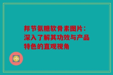 邦节氨糖软骨素图片：深入了解其功效与产品特色的直观视角