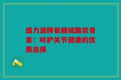 盛力源牌氨糖硫酸软骨素：呵护关节健康的优质选择