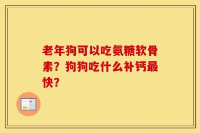 老年狗可以吃氨糖软骨素？狗狗吃什么补钙最快？