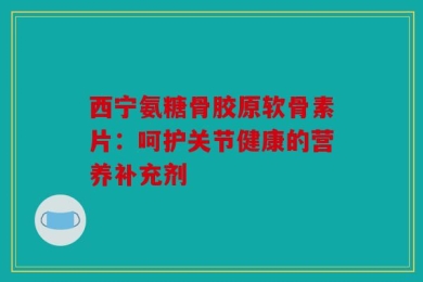 西宁氨糖骨胶原软骨素片：呵护关节健康的营养补充剂