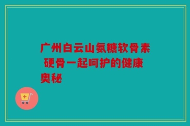 广州白云山氨糖软骨素 硬骨一起呵护的健康奥秘