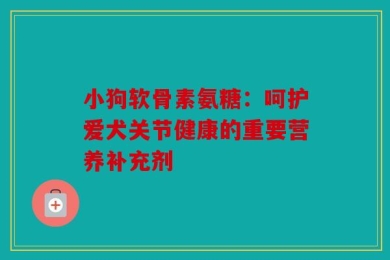 小狗软骨素氨糖：呵护爱犬关节健康的重要营养补充剂