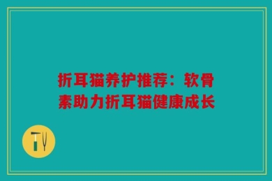 折耳猫养护推荐：软骨素助力折耳猫健康成长