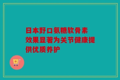 日本野口氨糖软骨素 效果显著为关节健康提供优质养护