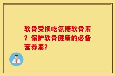 软骨受损吃氨糖软骨素？保护软骨健康的必备营养素？