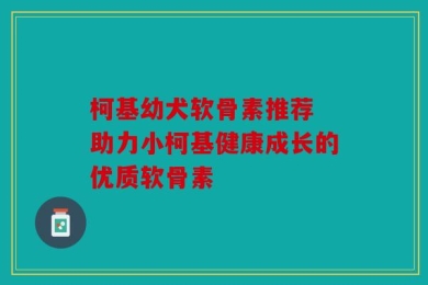柯基幼犬软骨素推荐 助力小柯基健康成长的优质软骨素