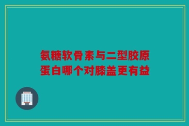氨糖软骨素与二型胶原蛋白哪个对膝盖更有益