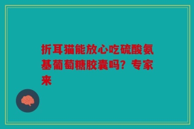 折耳猫能放心吃硫酸氨基葡萄糖胶囊吗？专家来