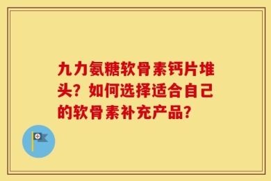 九力氨糖软骨素钙片堆头？如何选择适合自己的软骨素补充产品？