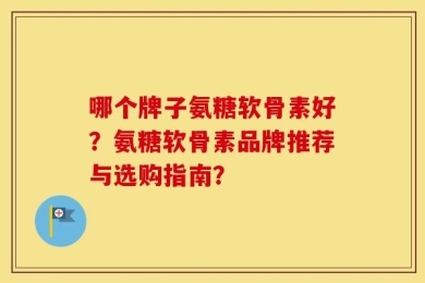 哪个牌子氨糖软骨素好？氨糖软骨素品牌推荐与选购指南？