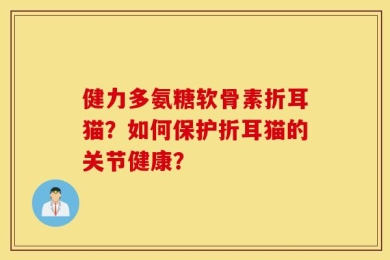 健力多氨糖软骨素折耳猫？如何保护折耳猫的关节健康？