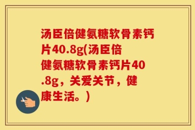 汤臣倍健氨糖软骨素钙片40.8g(汤臣倍健氨糖软骨素钙片40.8g，关爱关节，健康生活。)