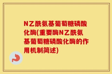 N乙酰氨基葡萄糖磷酸化酶(重要酶N乙酰氨基葡萄糖磷酸化酶的作用机制简述)