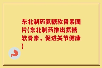 东北制药氨糖软骨素图片(东北制药推出氨糖软骨素，促进关节健康)