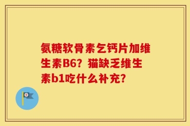 氨糖软骨素乞钙片加维生素B6？猫缺乏维生素b1吃什么补充？