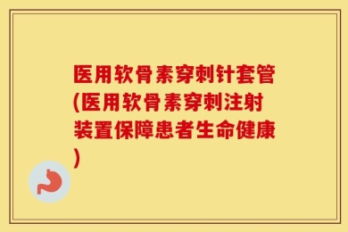 医用软骨素穿刺针套管(医用软骨素穿刺注射装置保障患者生命健康)