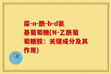 尿-n-酰-b-d氨基葡萄糖(N-乙酰葡萄糖胺：关键成分及其作用)
