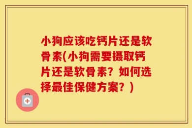 小狗应该吃钙片还是软骨素(小狗需要摄取钙片还是软骨素？如何选择最佳保健方案？)