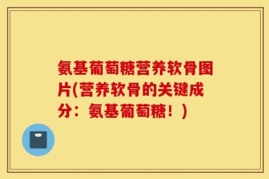 氨基葡萄糖营养软骨图片(营养软骨的关键成分：氨基葡萄糖！)