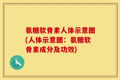 氨糖软骨素人体示意图(人体示意图：氨糖软骨素成分及功效)
