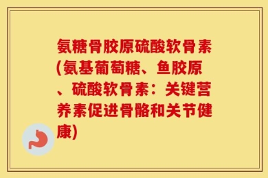 氨糖骨胶原硫酸软骨素(氨基葡萄糖、鱼胶原、硫酸软骨素：关键营养素促进骨骼和关节健康)