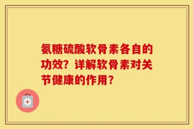 氨糖硫酸软骨素各自的功效？详解软骨素对关节健康的作用？