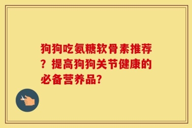 狗狗吃氨糖软骨素推荐？提高狗狗关节健康的必备营养品？