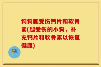 狗狗腿受伤钙片和软骨素(腿受伤的小狗，补充钙片和软骨素以恢复健康)
