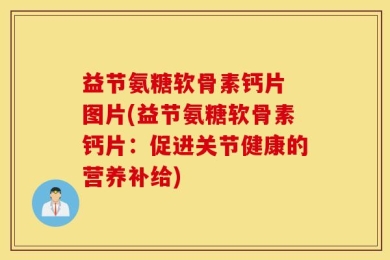 益节氨糖软骨素钙片 图片(益节氨糖软骨素钙片：促进关节健康的营养补给)