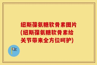 纽斯葆氨糖软骨素图片(纽斯葆氨糖软骨素给关节带来全方位呵护)