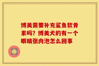 博美需要补充鲨鱼软骨素吗？博美犬的有一个眼睛张肉泡怎么回事