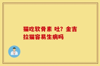 猫吃软骨素 吐？金吉拉猫容易生病吗