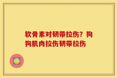 软骨素对韧带拉伤？狗狗肌肉拉伤韧带拉伤