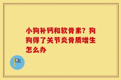 小狗补钙和软骨素？狗狗得了关节炎骨质增生怎么办