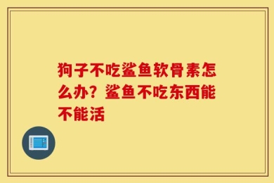 狗子不吃鲨鱼软骨素怎么办？鲨鱼不吃东西能不能活