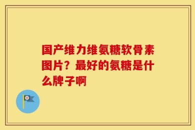 国产维力维氨糖软骨素图片？最好的氨糖是什么牌子啊