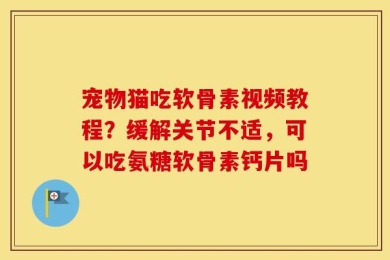 宠物猫吃软骨素视频教程？缓解关节不适，可以吃氨糖软骨素钙片吗