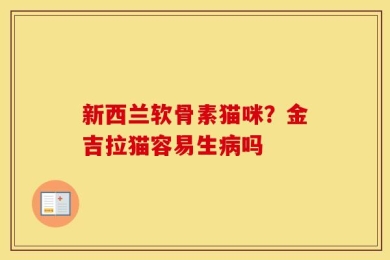 新西兰软骨素猫咪？金吉拉猫容易生病吗