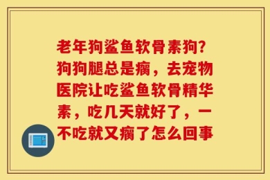 老年狗鲨鱼软骨素狗？狗狗腿总是瘸，去宠物医院让吃鲨鱼软骨精华素，吃几天就好了，一不吃就又瘸了怎么回事