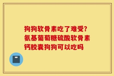狗狗软骨素吃了难受？氨基葡萄糖硫酸软骨素钙胶囊狗狗可以吃吗