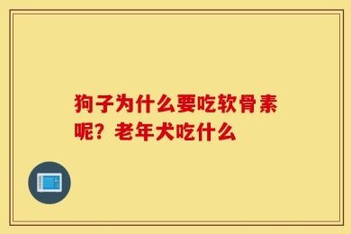 狗子为什么要吃软骨素呢？老年犬吃什么
