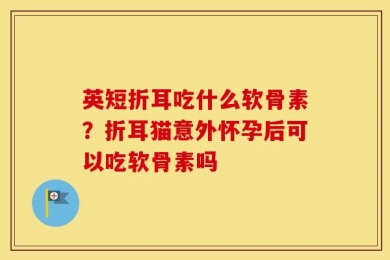 英短折耳吃什么软骨素？折耳猫意外怀孕后可以吃软骨素吗
