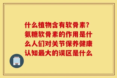 什么植物含有软骨素？氨糖软骨素的作用是什么人们对关节保养健康认知最大的误区是什么